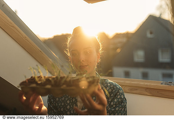 Junge Frau hält Spinatpflanze am Fenster im Gegenlicht