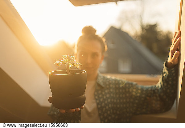 Junge Frau hält Topfpflanze am Fenster im Gegenlicht
