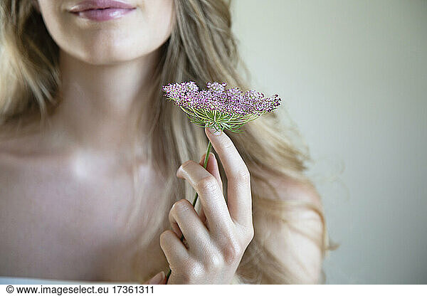 Junge Frau hält Wildblume