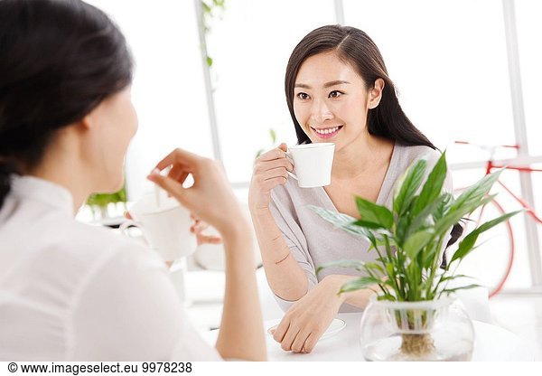 junge Frau junge Frauen Getränk Büro Kaffee