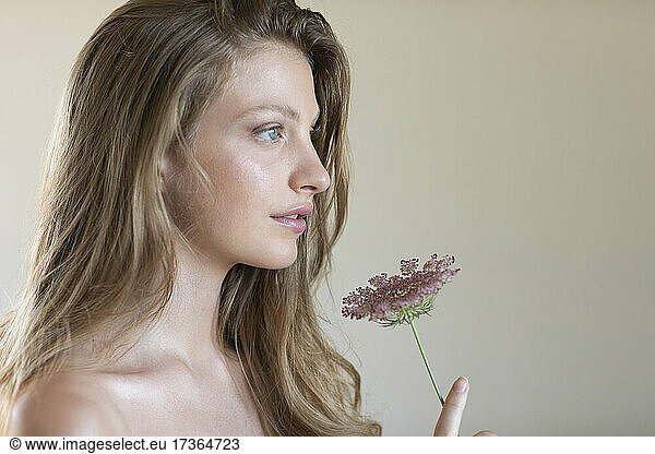 Junge Frau mit Wildblume träumt im Studio