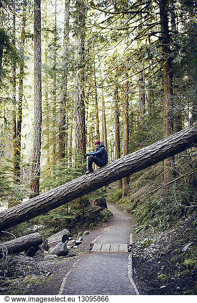 Junge Frau sitzt auf Baumstamm