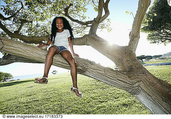 Junge gemischte Rasse Mädchen sitzt in einem Baum Zweig