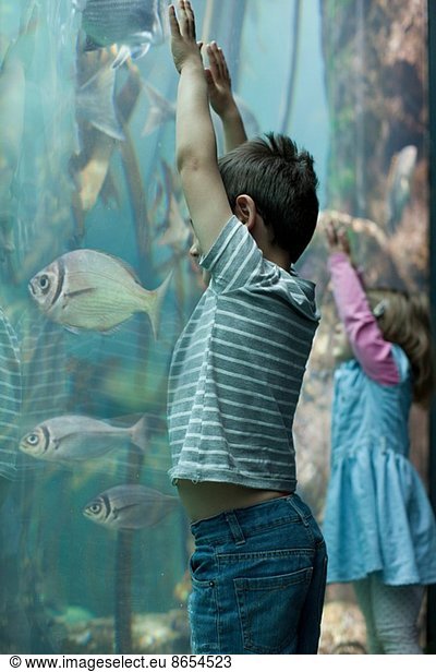 Junge Geschwister beim Anblick tropischer Fische im Aquarium