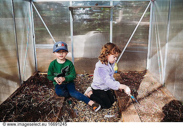 Junge Geschwister graben Pflanzen aus dem Gewächshaus im Hinterhof aus
