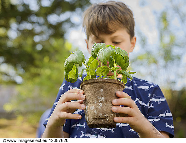 Junge hält Topfpflanze während Gartenarbeit im Hinterhof