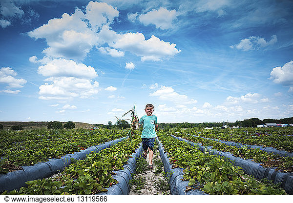 Junge hält Wurzelgemüse  während er auf Bio-Bauernhof gegen bewölkten Himmel läuft