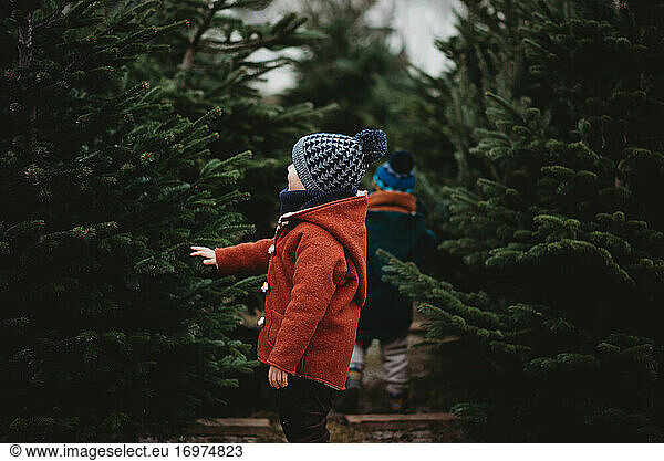 Junge in rotem Wollmantel  der in der Weihnachtszeit einen Baum berührt