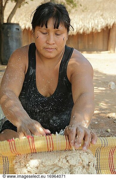 Junge Indianerin  die auf traditionelle Weise Maniokmehl wäscht  Mato Grosso  Brasilien  Südamerkia.