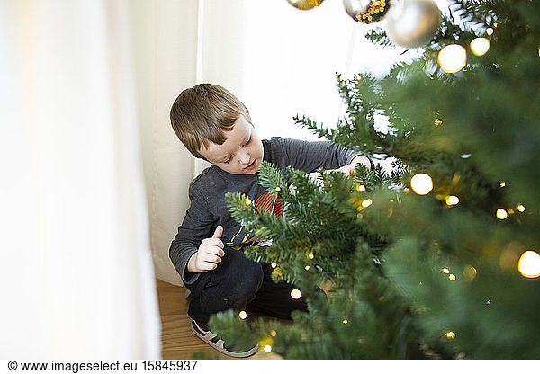 Junge kniet nieder  um Ornament auf erleuchteten Weihnachtsbaumzweig zu legen
