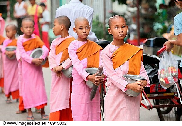 Junge Mönchsmädchen mit Reisschalen  Yangon Rangun  Myanmar  Burma  Asien