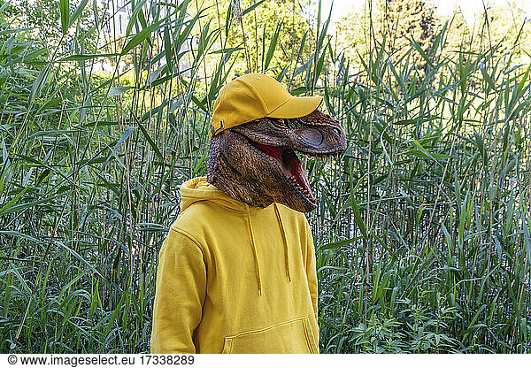 Junge mit Dinosauriermaske und -mütze  der im Gras steht
