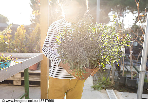 Junge mit Topfpflanze in der Gärtnerei im Gegenlicht stehend