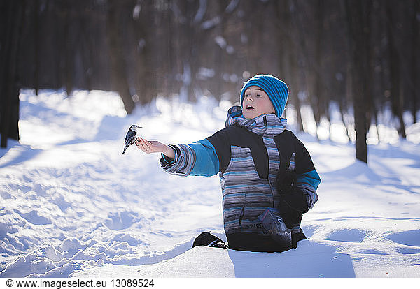 Junge mit Vogel kniend auf verschneitem Feld