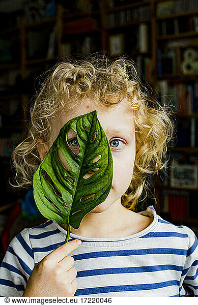Junge schaut durch grünes Blatt