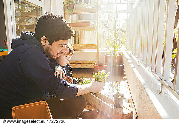 Junge sitzt mit seinem Vater beim Pflanzen von Pflanzen auf dem Balkon