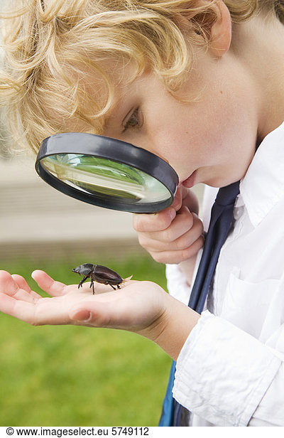 Junge untersucht Käfer mit Lupe