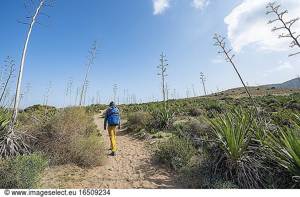 Junger Mann auf Weg durch Agaven  Playa de Los Genoveses  Nationalpark Cabo de Gata-Nijar  Almería  Spanien  Europa