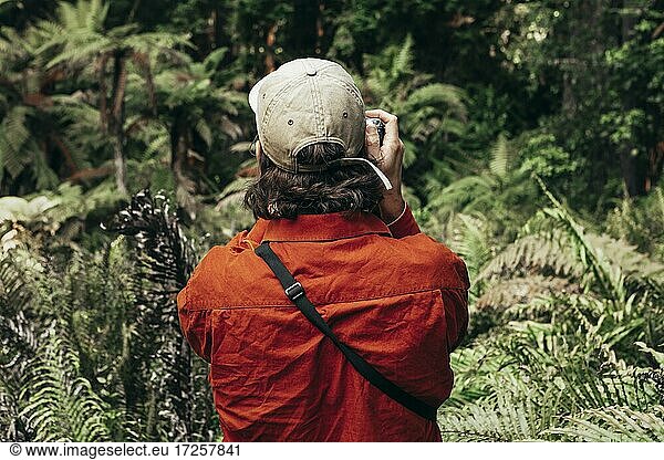 Junger Mann mit Kamera  Redwoods Forest  Whakarewarewa  Nordinsel  Neuseeland  Ozeanien
