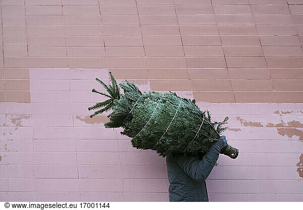 Junger Mann mit Tannenbaum auf der Schulter in der Nähe der Mauer