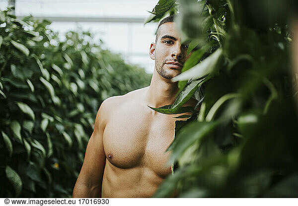 Junger Mann ohne Hemd  der auf einem Bio-Bauernhof neben Grünpflanzen steht