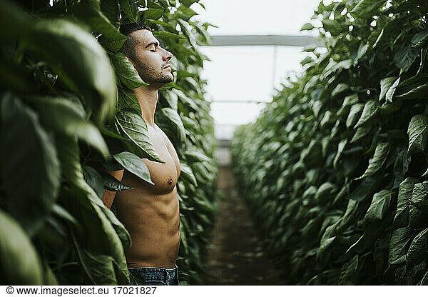 Junger Mann ohne Hemd  der auf einem Bio-Bauernhof vor Pflanzen steht