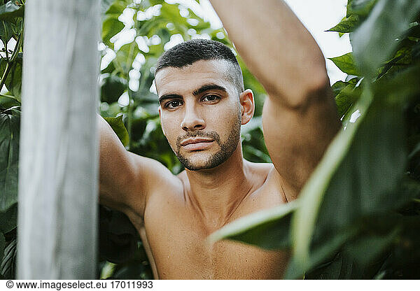 Junger Mann ohne Hemd inmitten von Pflanzen auf einem Bio-Bauernhof