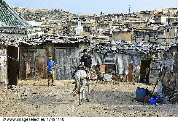 Junger Mann reitet seitlich sitzend auf weißem Pferd  Marokkaner reitet durch Handwerkerviertel von Fes  Mann auf Pferd vor Blechhütten  marokkanisches Elendsviertel  Fes  Marokko  Afrika