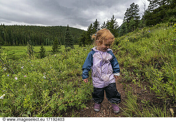 Junges Kind erkundet die Wildnis  Colorado
