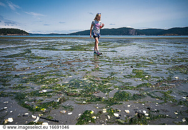 Junges Mädchen erkundet Strand bei Ebbe mit Seegras im Vordergrund