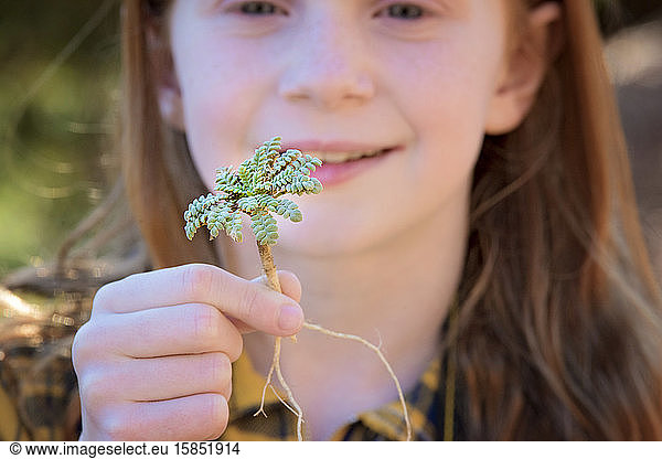Junges Mädchen hält kleine grüne Pflanze mit Wurzeln