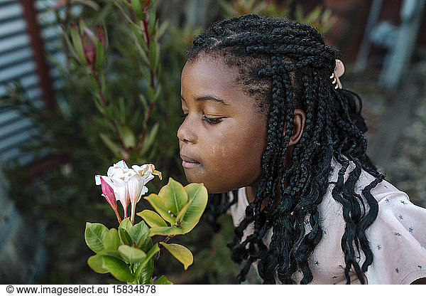 Junges schwarzes Mädchen in Rosa mit langen Zöpfen entdeckt Gartenblumen