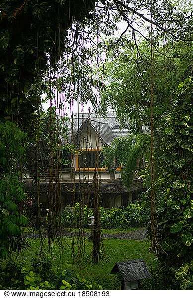 Jungle houses  Bali island  atmosphere.