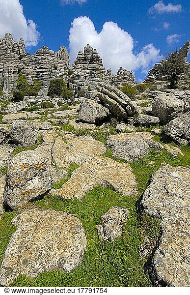 Jura-Kalksteine  Naturpark El Torcal de Antequera  Provinz Malaga  Andalusien  Spanien  Europa