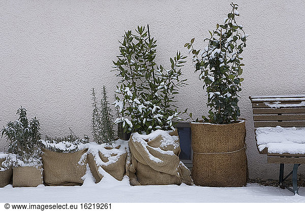 Kälteschutz für Pflanzen