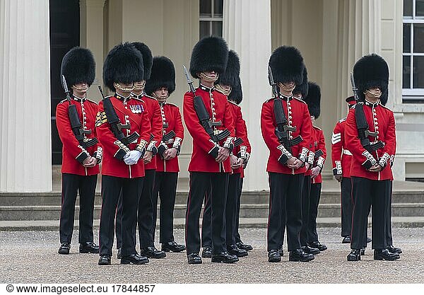 Königliche Garde  Wellington Baracken  London  Großbritannien  Europa