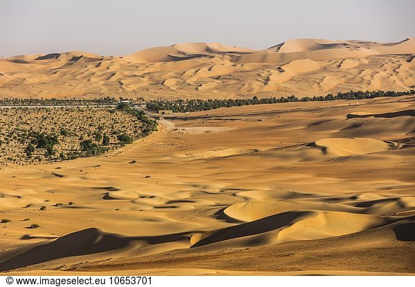 Künstlich gepflanzter Wald in der Wüste bei Al Hamaìm Leeres Viertel Empty Quarter Sandwüste Rub al-Chali auch Rub al-Khali Vereinigte Arabische Emirate Asien