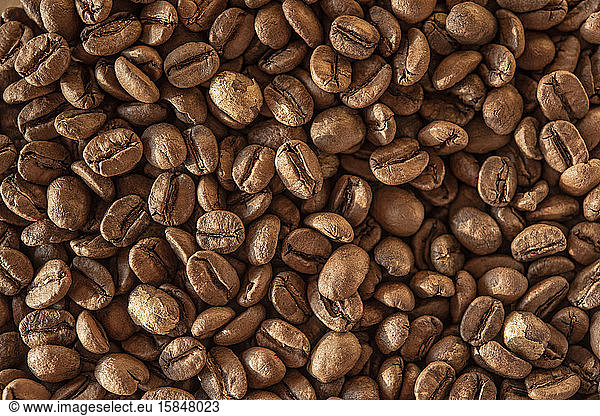 Körner des besten in Brasilien produzierten Kaffees