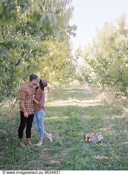 küssen Obstgarten Apfel