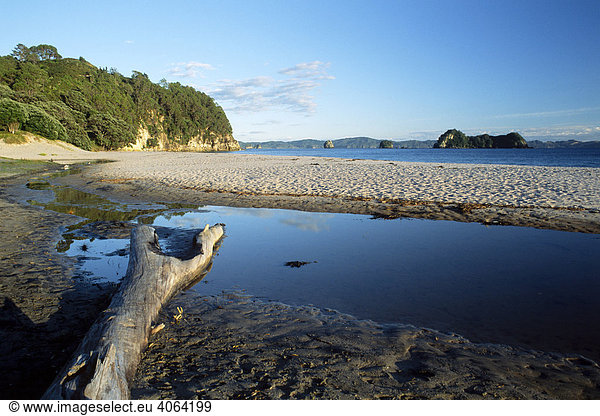 Küste auf der Coromandel Halbinsel  Nordinsel  Neuseeland