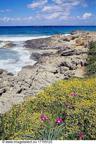 Küste. Es Calo  Insel Formentera  Balearische Inseln  Spanien.