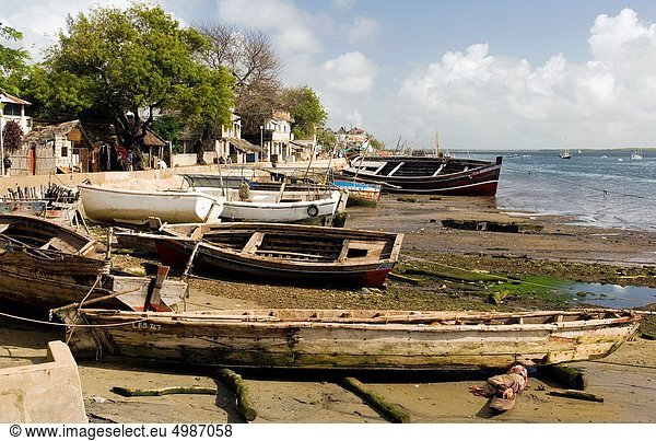 Küste  Stadt  Boot  Insel  Ansicht  Kenia