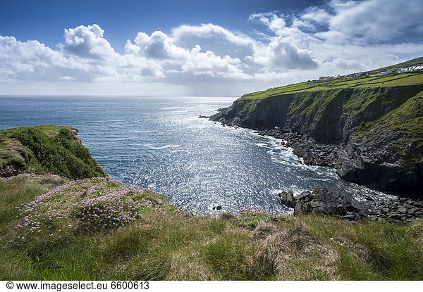 Küstenlandschaft am Atlantik  Dingle Halbinsel  County Kerry  Irland  Europa
