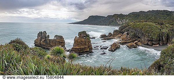 Küstenlandschaft mit Sandsteinfelsen  Pancake Rocks  Paparoa National Park  Punakaiki  Westküste  Südinsel  Neuseeland  Ozeanien