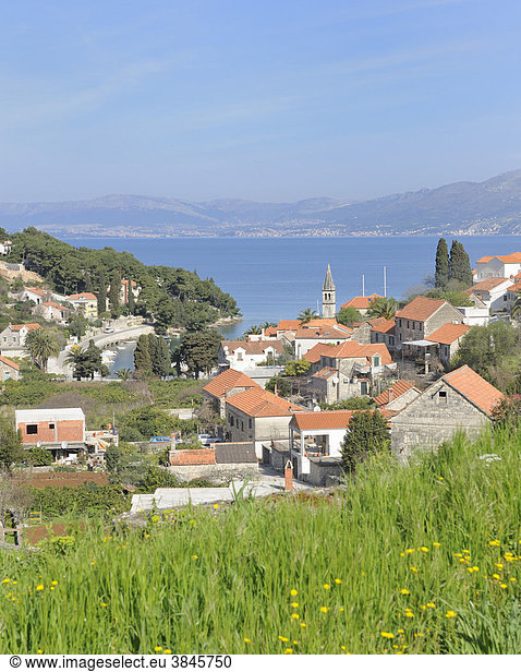 Küstenort Splitska  Insel Brac  Kroatien  Europa