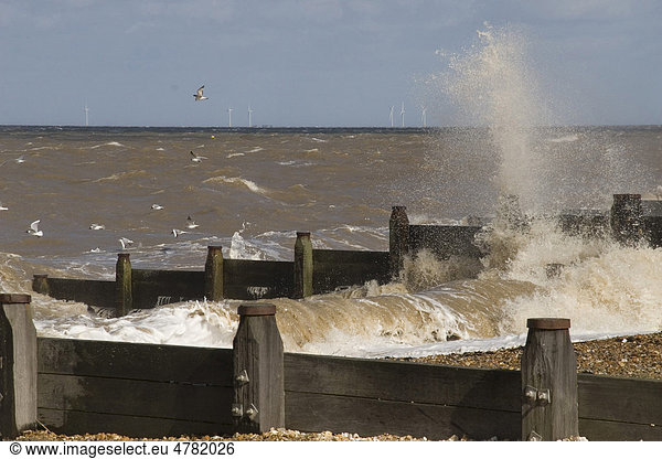 Küstenschutz und Windräder am Horizont  Whitstable  Kent  England  Großbritannien  Europa