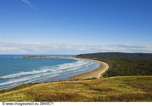 Küstenstrich mit Blick aufs Meer  Strand und Wald  Tautuku Bay  Catlins  Südinsel  Neuseeland