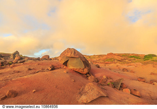 Kaehiakawaelo (Garden of the Gods)  landscape of red dirt  lava and rock formations  Lanai Island  Hawaii  USA