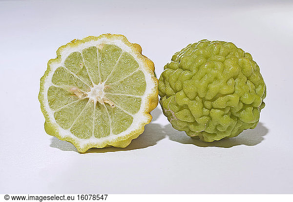Kaffir lime (Citrus hystrix) on white background