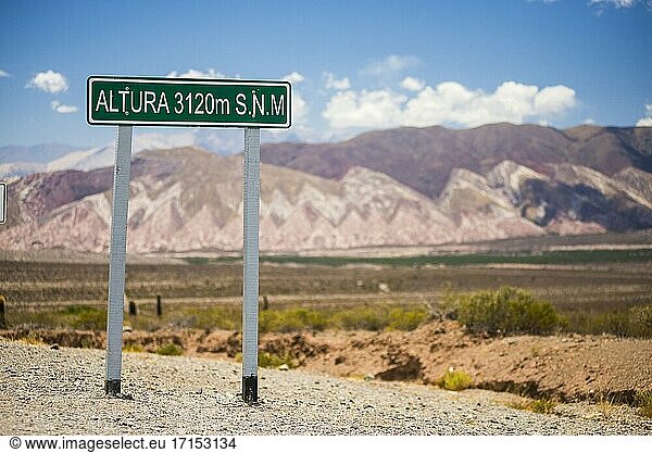 Kaktus-Nationalpark (Parque Nacional Los Cardones)  Cachi-Tal  Calchaqui-Täler  Provinz Salta  Nordargentinien